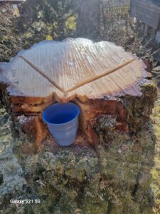 Saven fortsätter komma i flera veckor