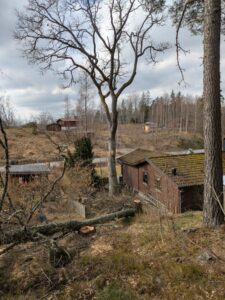 Tog den nedra delen av kronan så att skuggan hamnar bakom huset