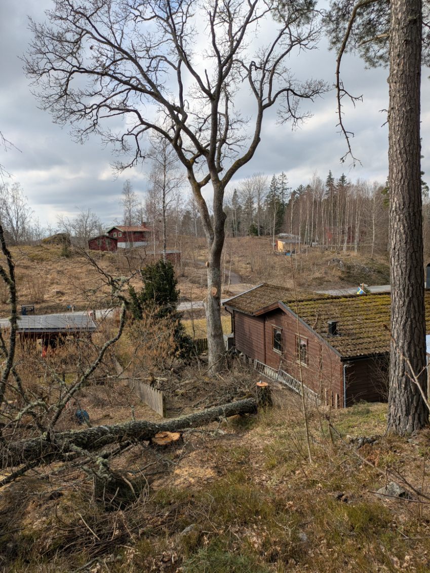 Beskär ek över tak