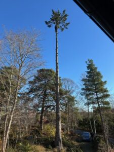 En blåsig dag, kul på jobbet!